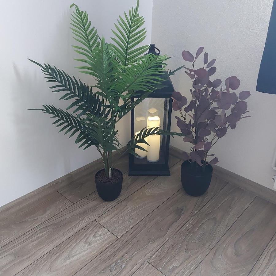 Apartament Antonias Făgăraş Exteriör bild